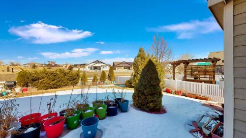 43-Front-yard-1426-Reeves-Dr-Fort-Collins-CO-80526