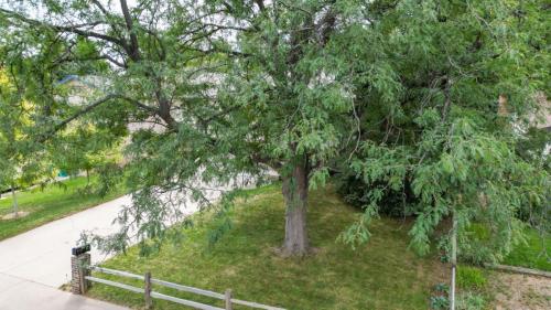61-Wideview-2207-Suffolk-St-Fort-Collins-CO-80526