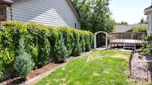 52-Backyard-312-Derry-Dr-Fort-Collins-CO-80525