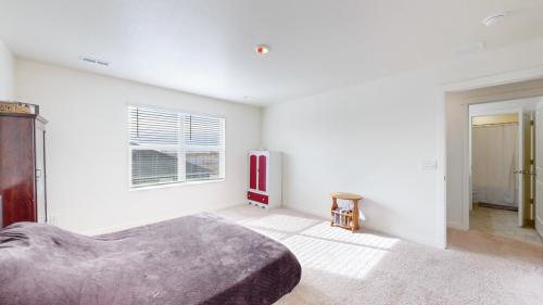 22-Bedroom-3611-Speedwell-St-Wellington-CO-80549