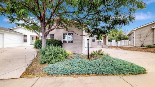 29-Front-yard-863-Sunchase-Dr-Fort-Collins-CO-80524